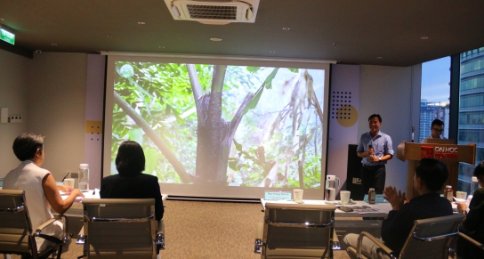 Dự án “Forest Food” với sản phẩm Đường Tự nhiên Hữu cơ