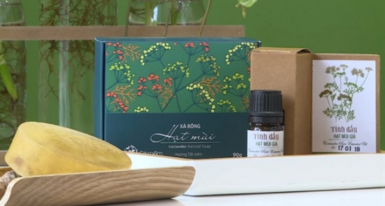 Hướng khởi nghiệp xanh trong giới trẻ Việt