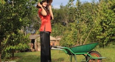 Khởi nghiệp làm farm du lịch, chàng cử nhân về làng trồng quýt