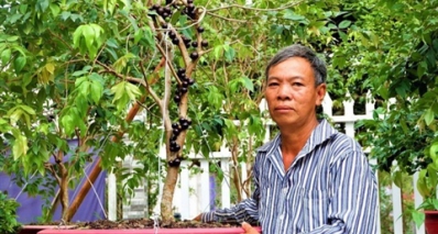 Khởi nghiệp trồng giống nho lạ cho quả từ gốc tời ngọn, ông lão tạo thu nhập khủng nuôi sống cả gia đình